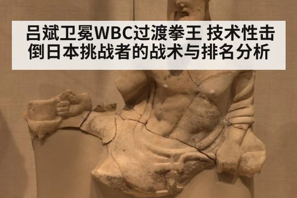 吕斌卫冕WBC过渡拳王 技术性击倒日本挑战者的战术与排名分析